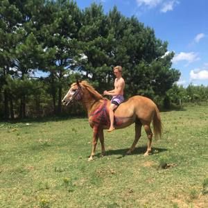 Meet your Posher, Logan